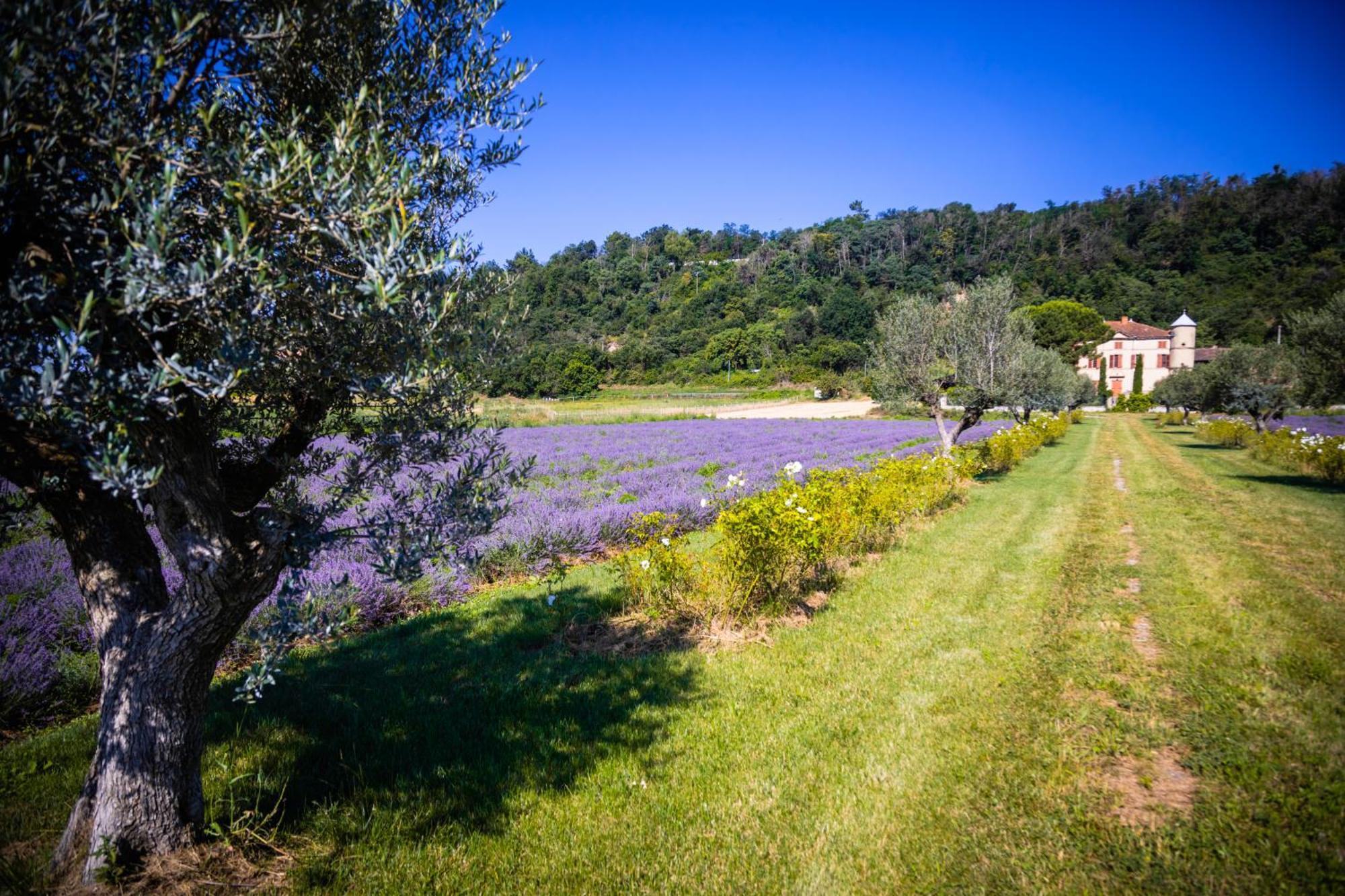 Domaine Des Balmes Romans-sur-Isère Exterior foto